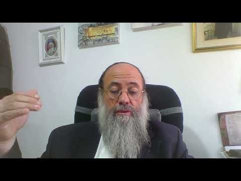 Zevakhim - Daf 28